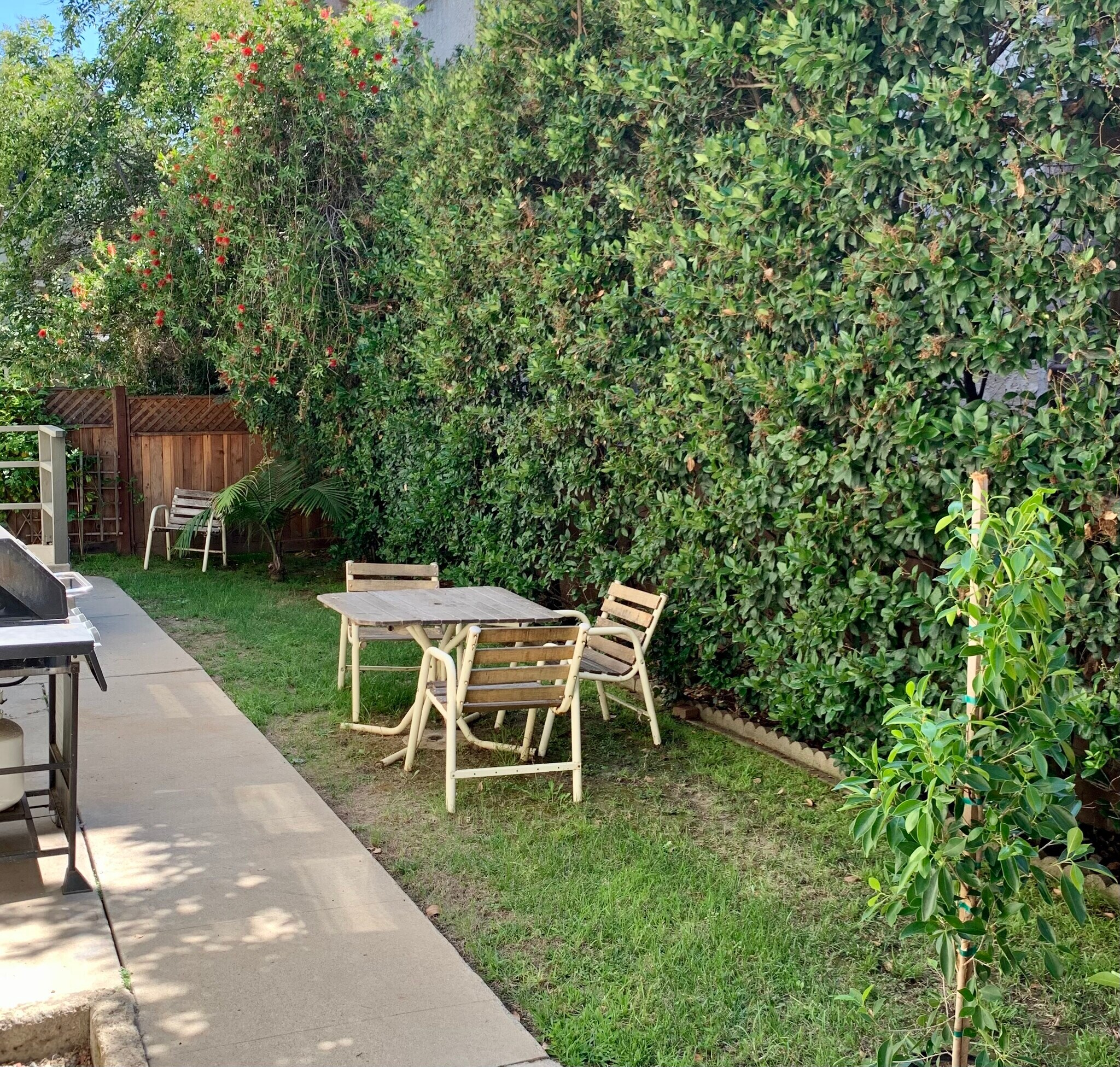 Backyard - 111 N 6th St