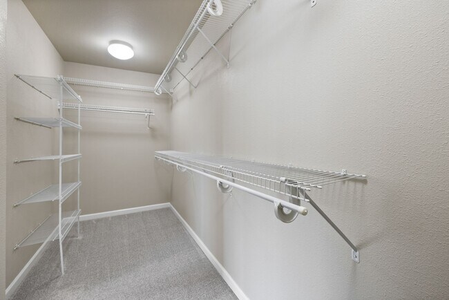 Building Photo - Lipoma Firs 5 bedroom with full bath on main.