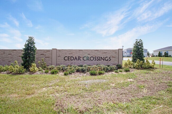 Building Photo - Modern Comfort Meets Convenience