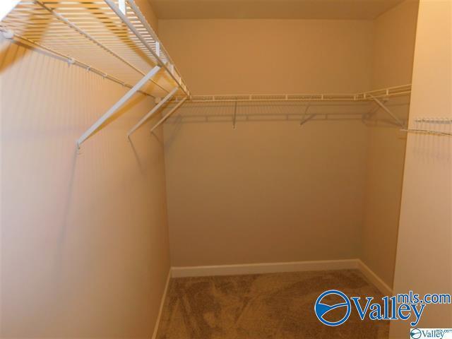 Building Photo - 113 Winding Trail