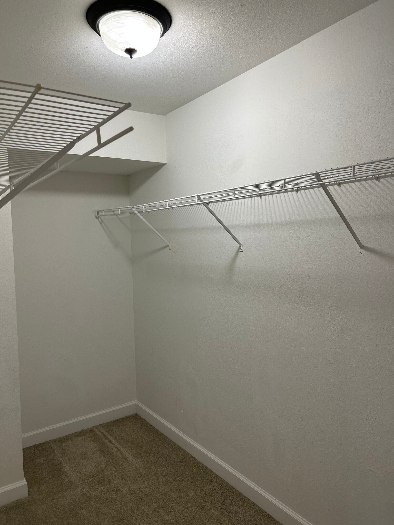 Building Photo - 1313 Saint Andrews Ln