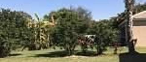 Building Photo - 11170 Lakeland Cir