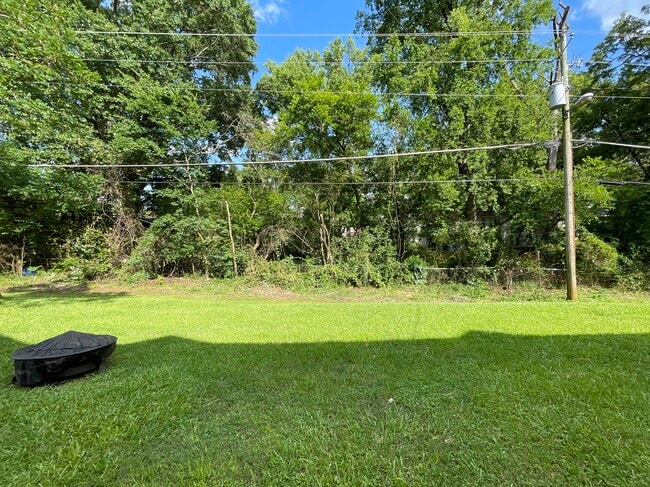 Backyard - 1681 Valley Ave
