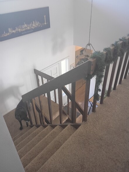 Stairs - 7748 W Ken Caryl Pl