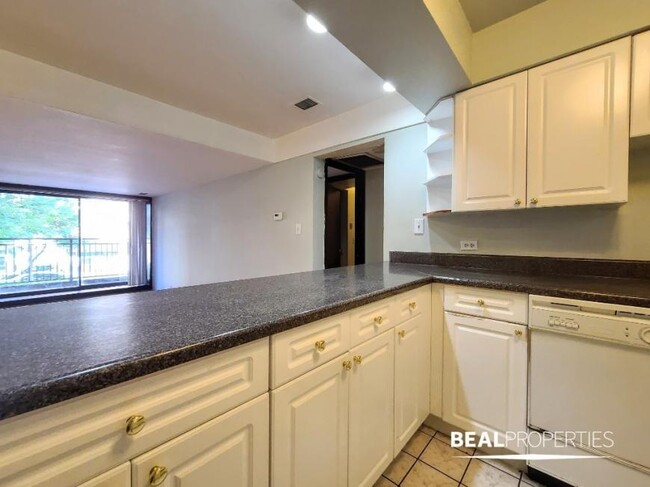 Building Photo - 2 bedroom in CHICAGO IL 60610