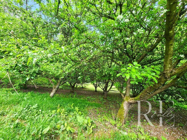 Building Photo - Forest-Edged Retreat with Pasture Access –...