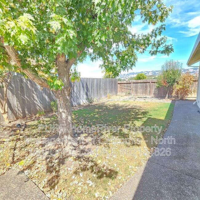 Building Photo - 2113 Appaloosa Cir