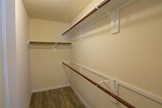 Building Photo - 1606 Mark Ln