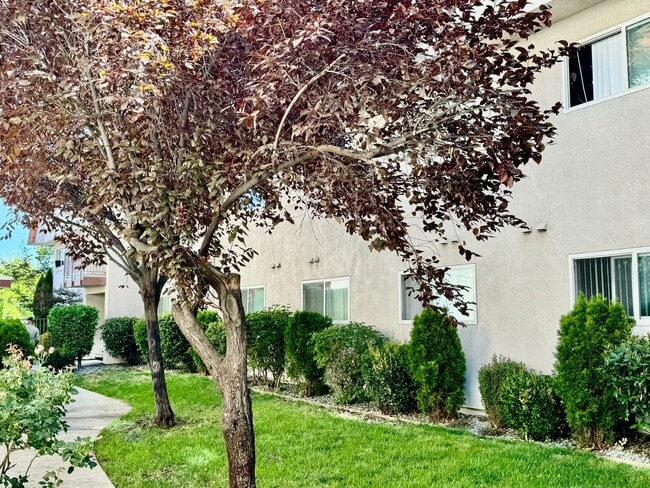 Interior Photo - Sherwood Forest Apartments