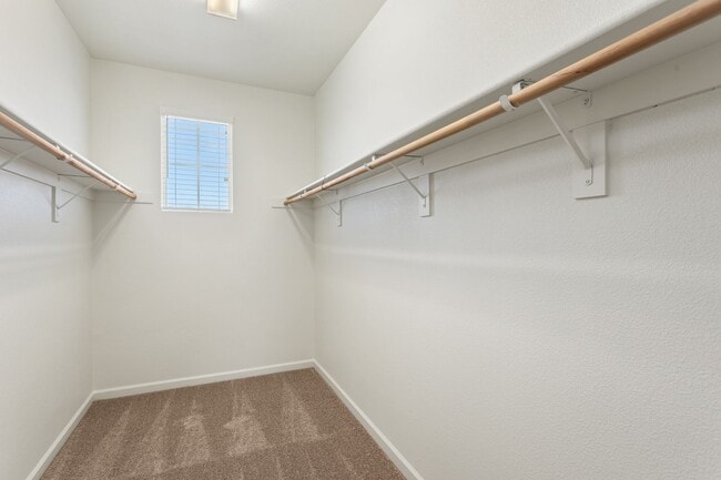 Building Photo - Gorgeous home in Roseville!