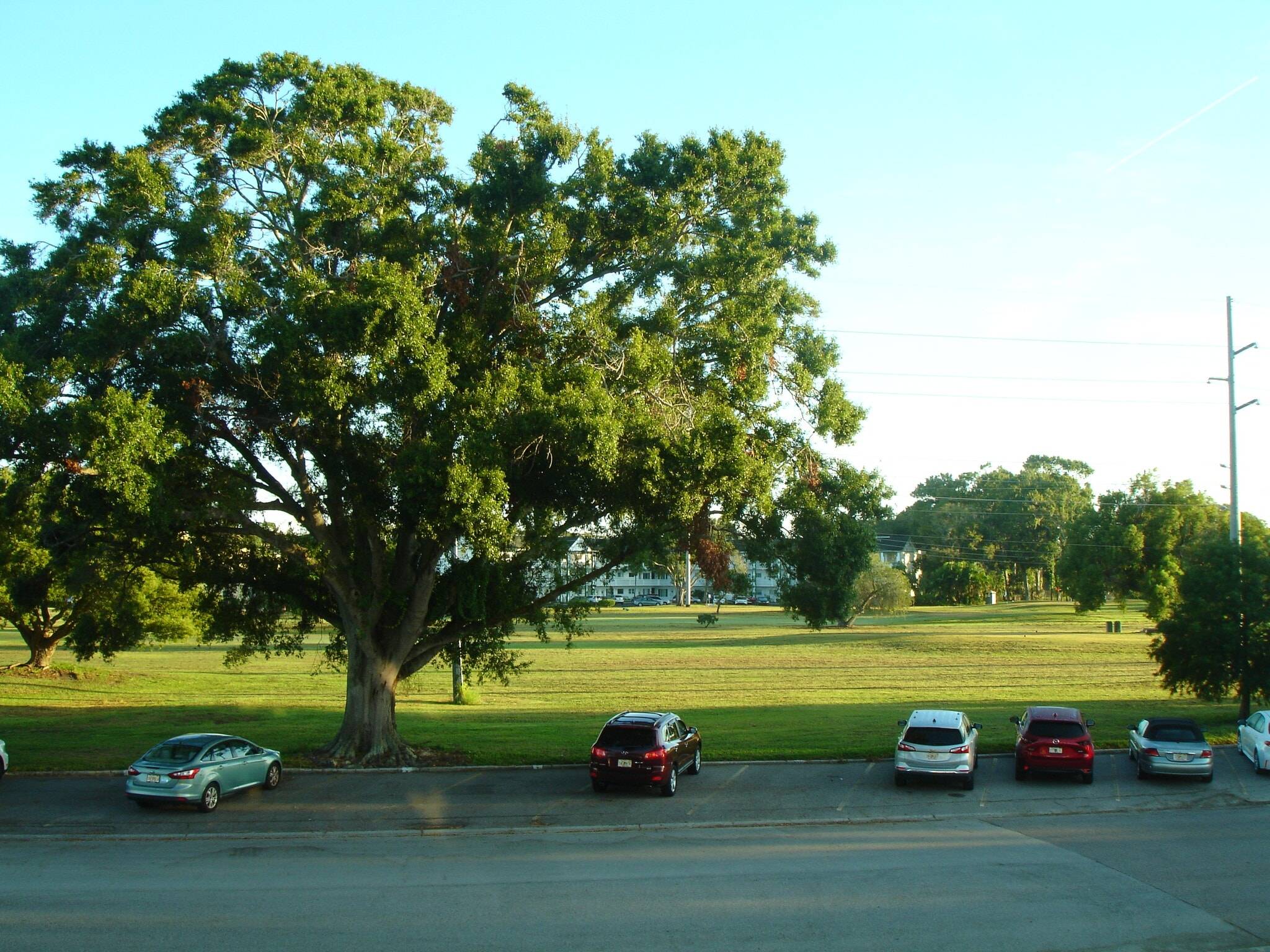 Building Photo - 2467 Finlandia Ln