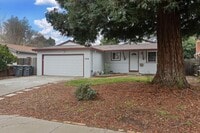 Building Photo - Move In NOW! Beautiful Davis Home Near UC Davis | Bright Open Layout + Private Backyard