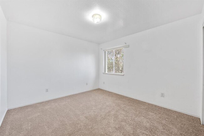 Building Photo - 4712 Ramies Run