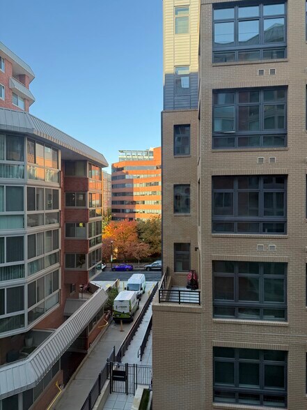 View from the sunroom - 1024 N Utah St