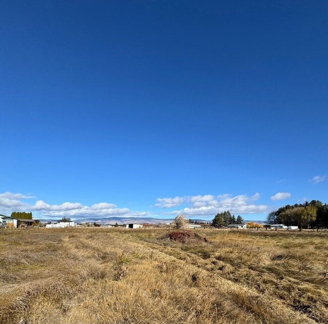 Building Photo - Spacious Pet-Friendly Rental on 3 Acres — ...