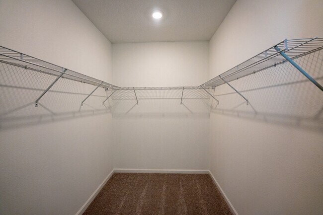 Building Photo - 2408 Rider Rain Ln