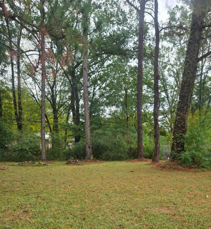 Building Photo - 270 Myer Ave