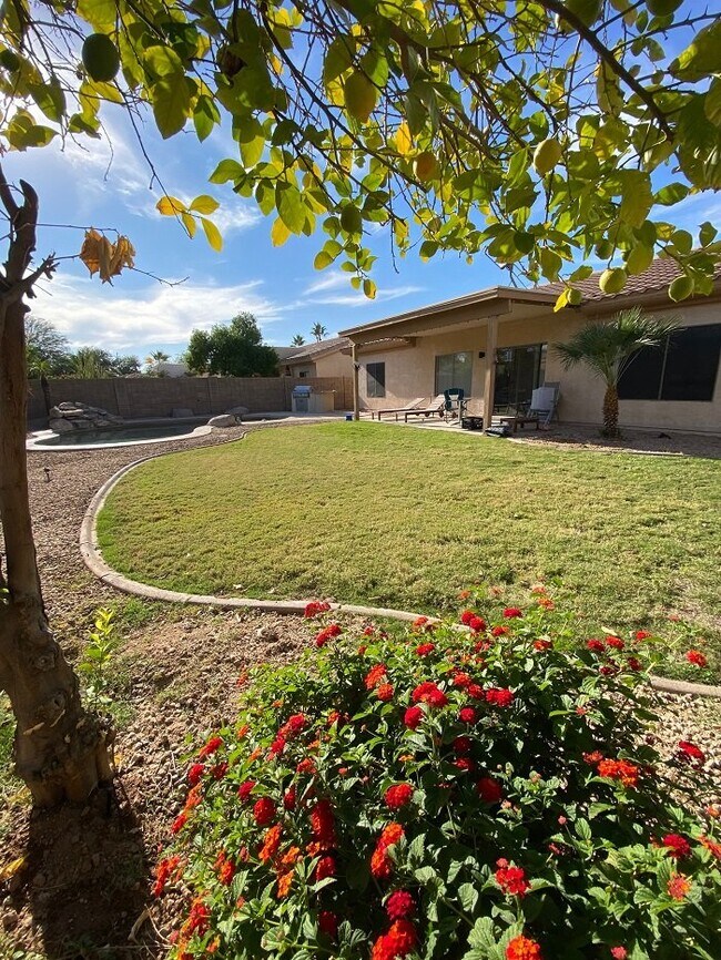 Building Photo - 3BDRM 2BA Residential home with pool for rent in Goodyear!