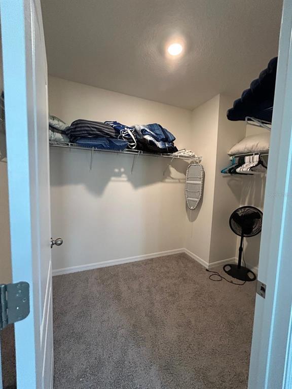 Building Photo - 3841 Royal Azalea Wy