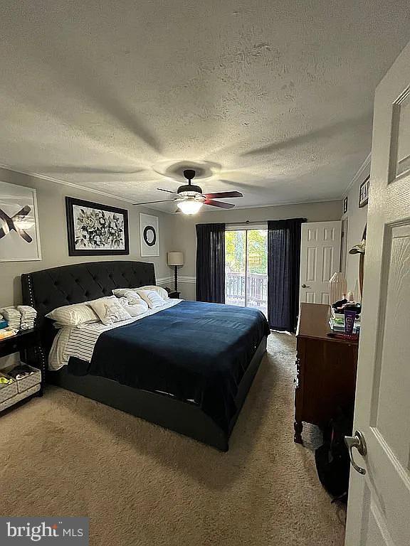 Building Photo - 53 Bryant Blvd