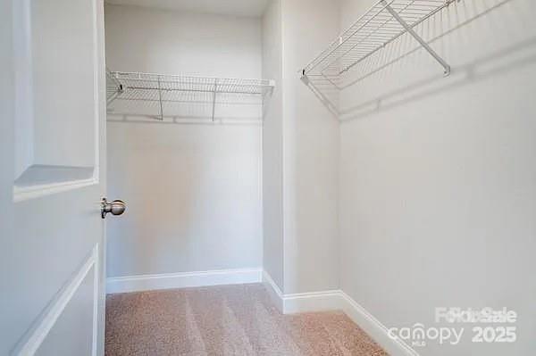 Building Photo - 5548 Stafford Rd