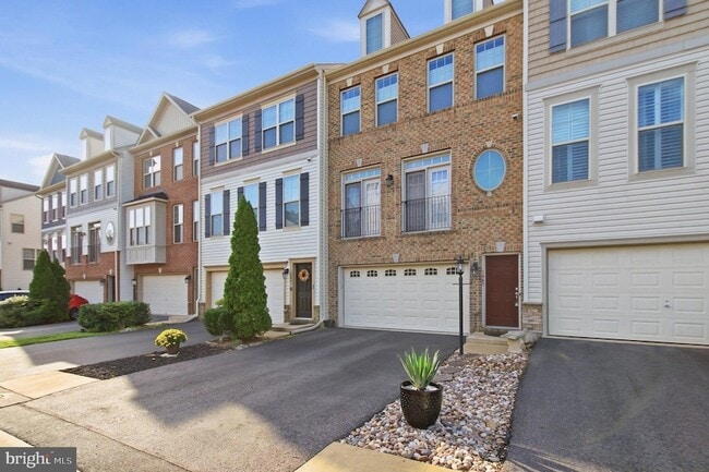 Building Photo - 1443 Occoquan Heights Ct