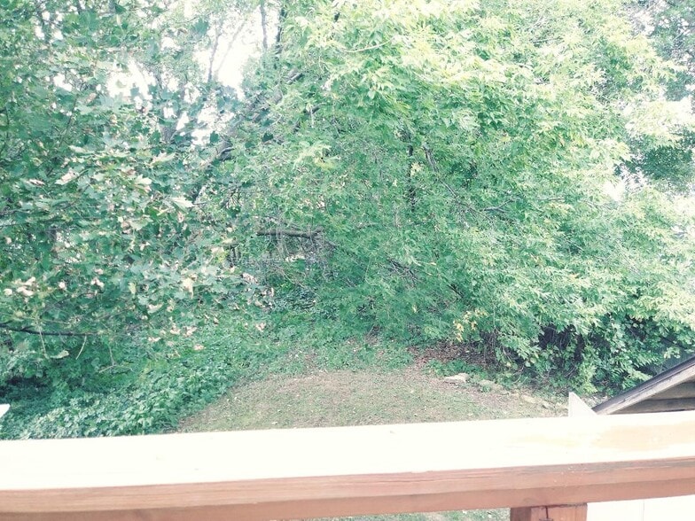private balcony view of wooded backyard - 311 Plymouth Ave NE