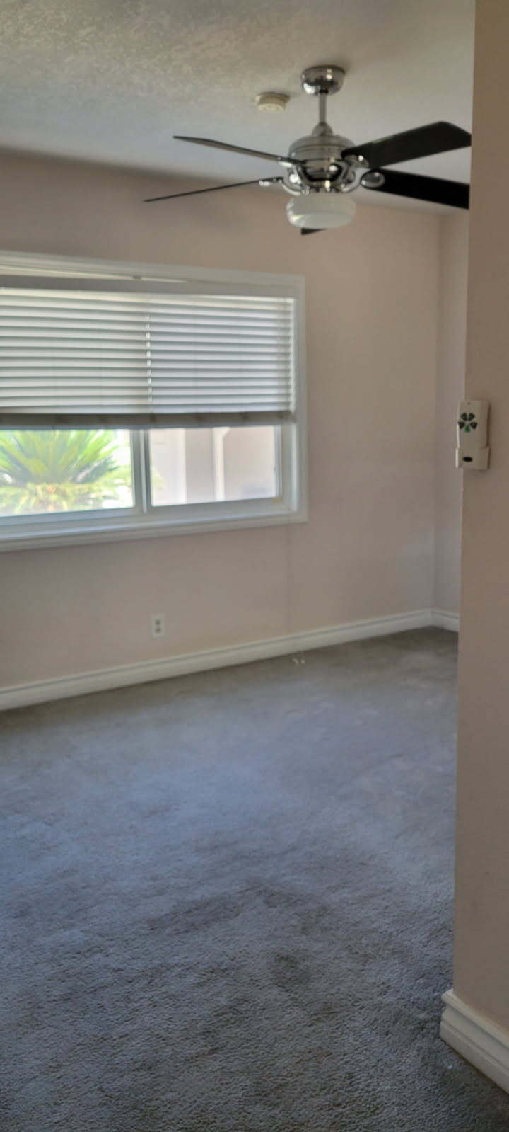 Beroom 1 - 6851 Wilbur Ave