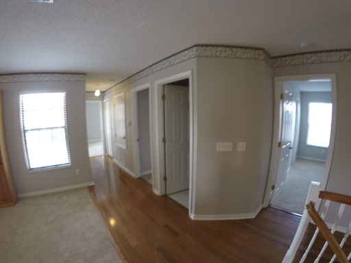 Building Photo - Waterford Chase: Pool Home! 6 Bedroom + loft, 4 Bath, 2 Car Garage