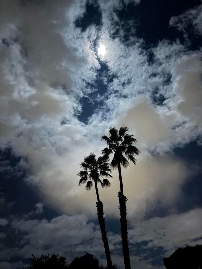 Building Photo - 35082 Mission Hills Dr