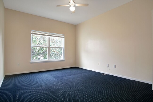 Building Photo - Runaway Beach Condo now available!