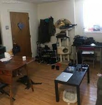 Building Photo - 570 Somerville Ave