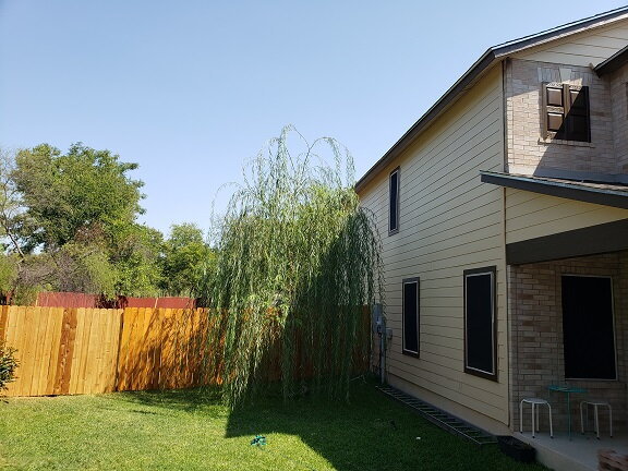 Building Photo - 54 Basin Elm