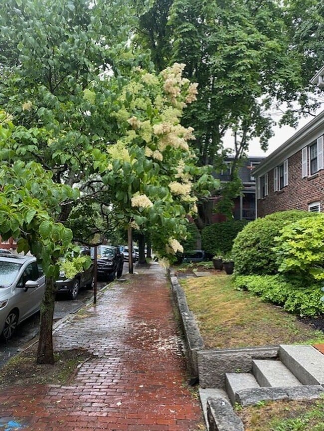 Building Photo - Spacious 2BR/1.5BA Townhouse Available February 1st!!  Great West End Location!!