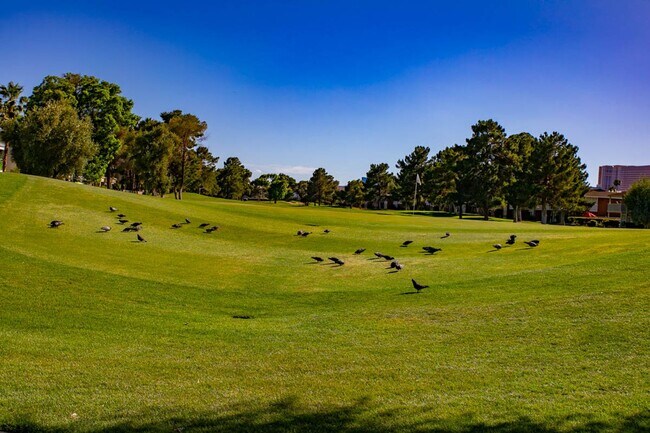 Building Photo - 1 Bed, 1 Bath In Highly Desirable Guard Gated Las Vegas Country Club