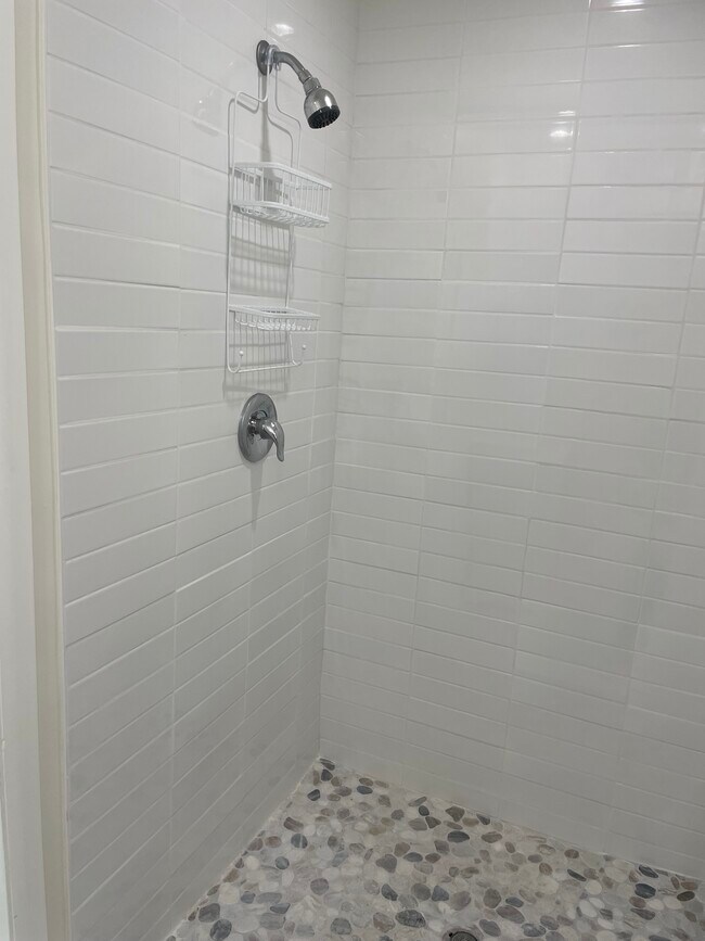 Designer Shower - 2935 Westwood Blvd
