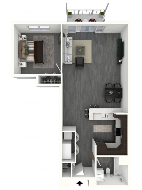 One Bedroom, One Bath - Medium - 770 Elmwood Apartments