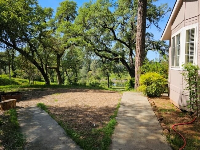 Building Photo - 10513 Katy Ln