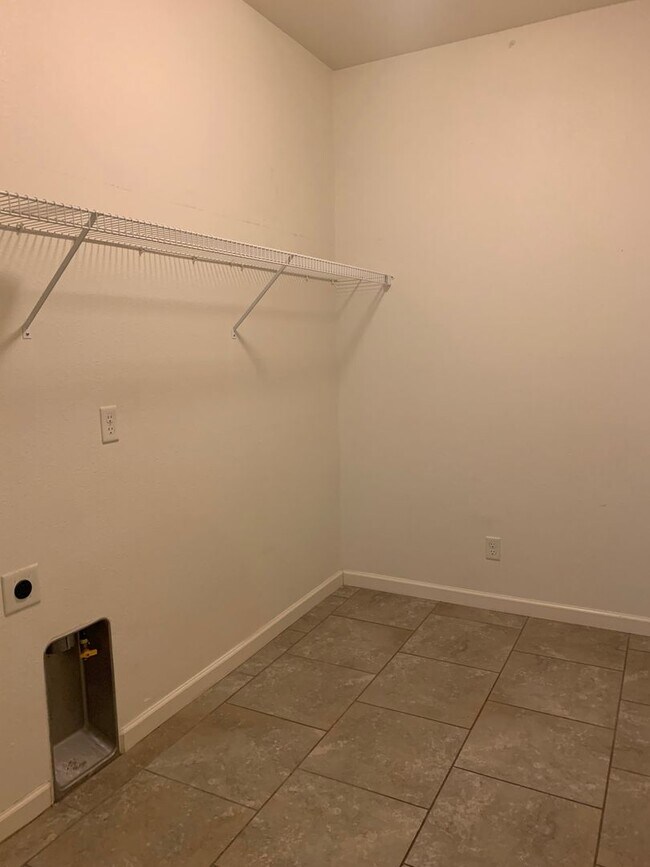 Primary Photo - available now