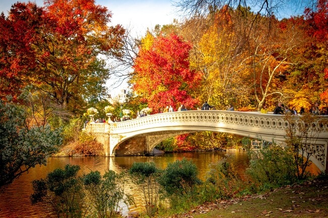 Building Photo - 128 Central Park S