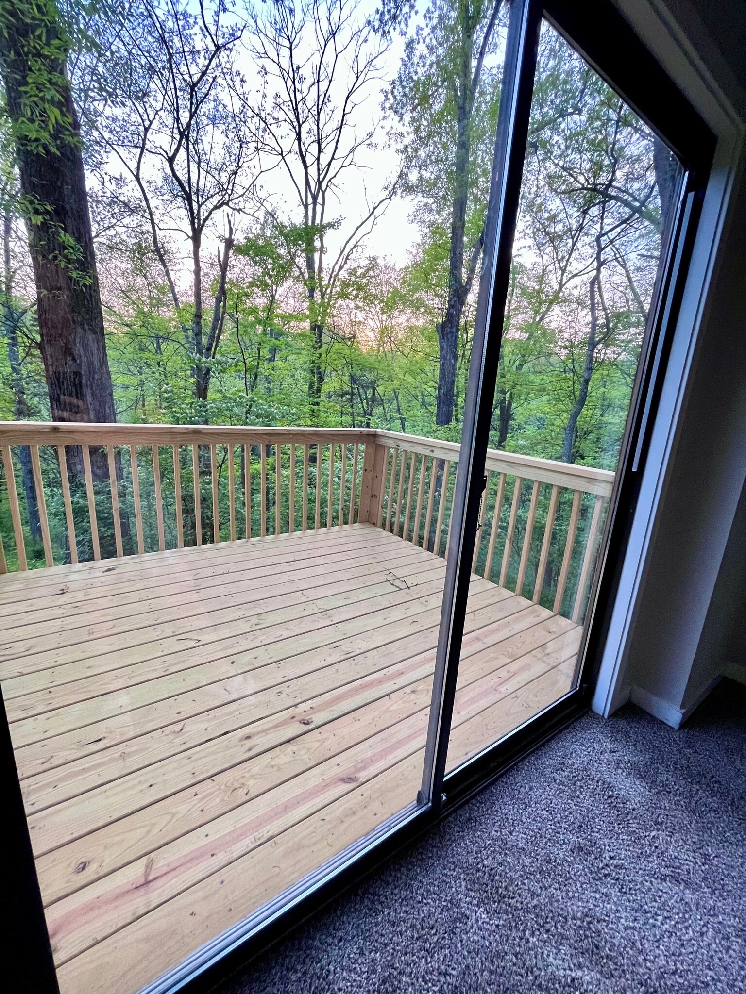 Main level walk out deck - 10241 Hightower Ct