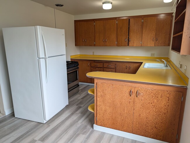 Building Photo - 1511 Shirley Pl