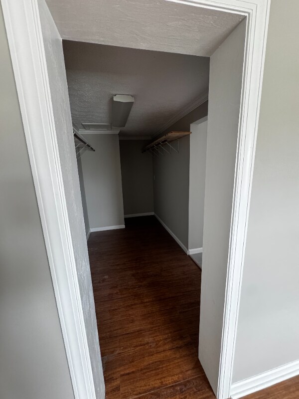 Building Photo - 4439 Mount Misery Rd NE
