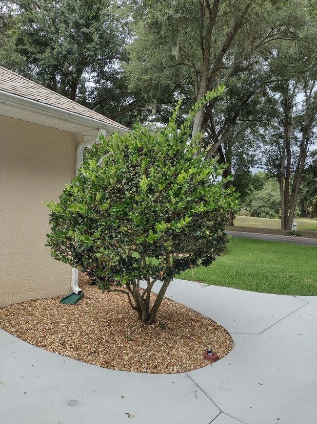 Building Photo - 592 Dowling Cir
