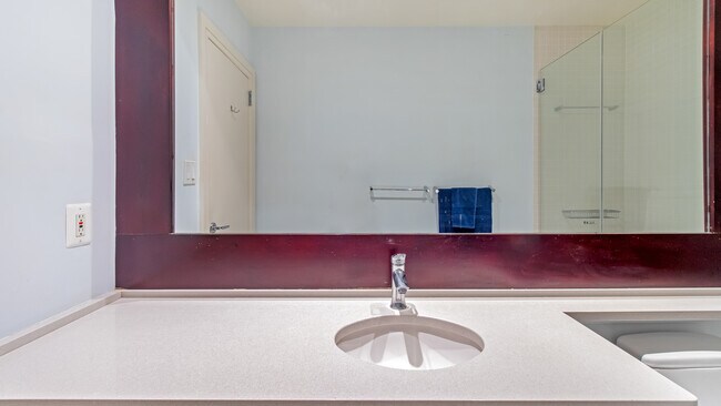 Master Bath - 1640 Beekman Pl NW