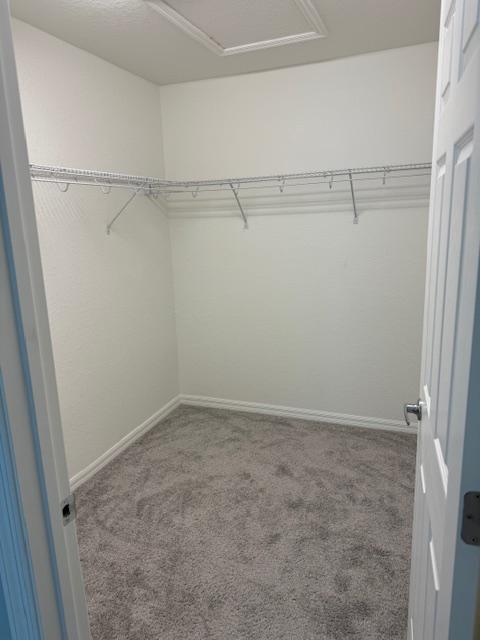Building Photo - 3071 Fieldwood Cir