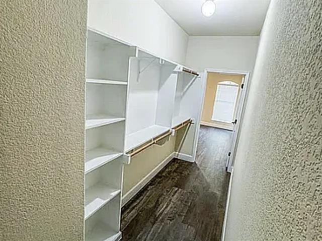 Building Photo - 6712 Pistoia Dr