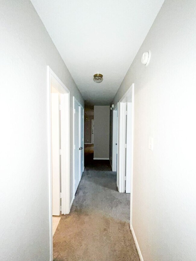 Building Photo - 1213 Cinch Dr