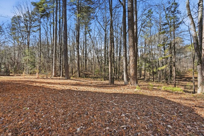 Building Photo - SPACIOUS AND BEAUTIFUL HOME IN DESIRABLE APEX