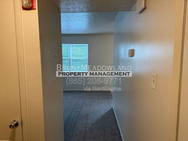 Building Photo - 5525 Jacksboro Pike